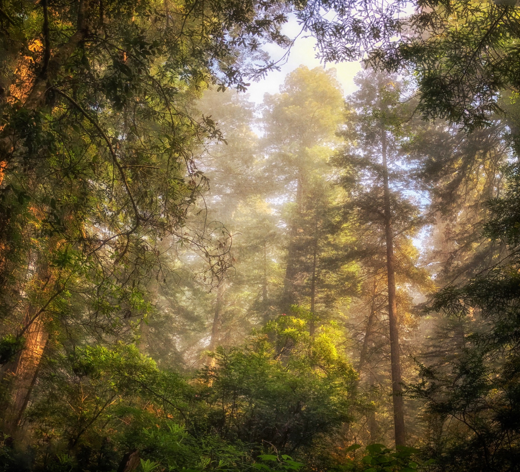 IMG 3597 10357 10397