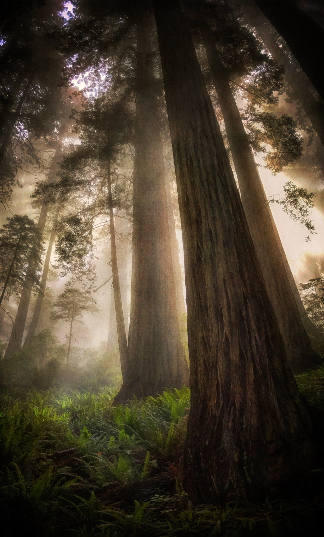 IMG 3808 10393 10396